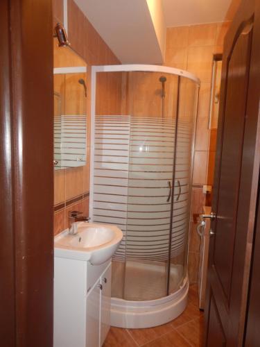 a bathroom with a shower and a sink at Apartment Iv in Kotor