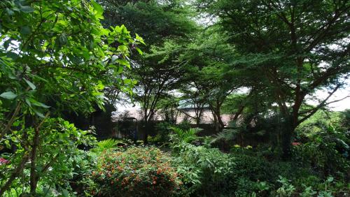 a garden with flowers and trees and a bridge at Osoita Lodge in Nairobi
