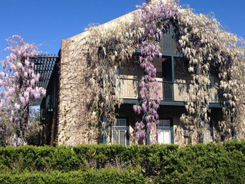 ホテルが所在する建物