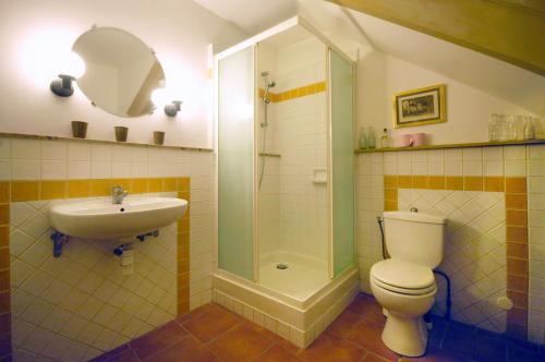 y baño con ducha, aseo y lavamanos. en L' Ancien Relais de Poste Henri, en Casteljaloux