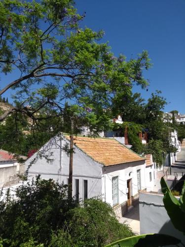 Villa Leomar photo 41