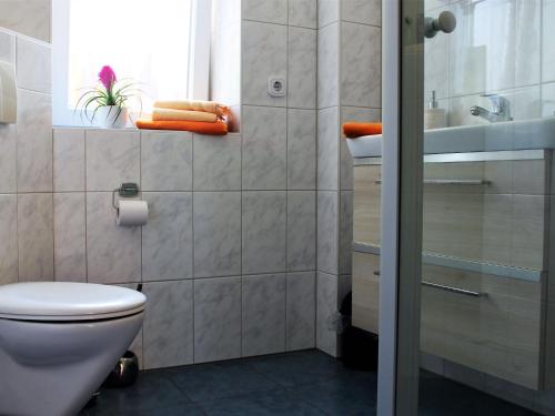 ボルテンハーゲンにあるModern Apartment near Sea in Ostseebad Boltenhagenのバスルーム(トイレ、洗面台付)