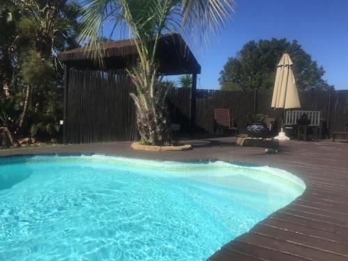 a swimming pool with a palm tree and an umbrella at Cheetah Lodge Guest House in Hartenbos