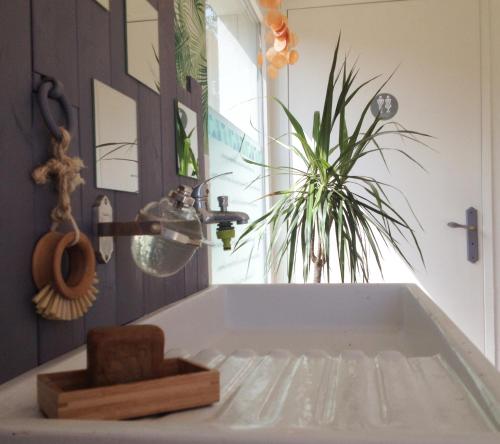 baño con bañera y planta en Cabane Escargot du centre UnisVers en Peyrat-le-Château