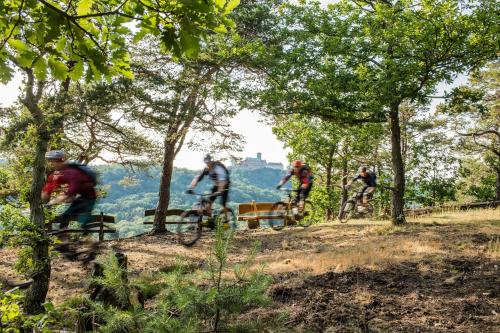 a group of people riding bikes down a trail at Suites MITTE - Aparthotel in Eisenach