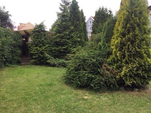 a group of trees and bushes in a yard at Cranz Hotel in Zelenogradsk