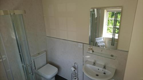 a bathroom with a toilet and a sink and a mirror at George & Dragon Hotel in Kirkbymoorside