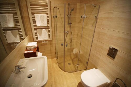 a bathroom with a shower and a toilet and a sink at Hotel Vis a Vis Łańcut in Łańcut