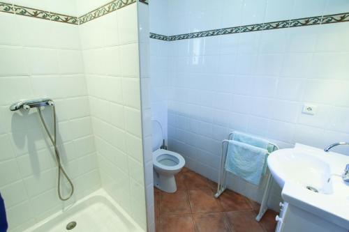 a bathroom with a shower and a toilet and a sink at A Ghjuvellina in Piedigriggio