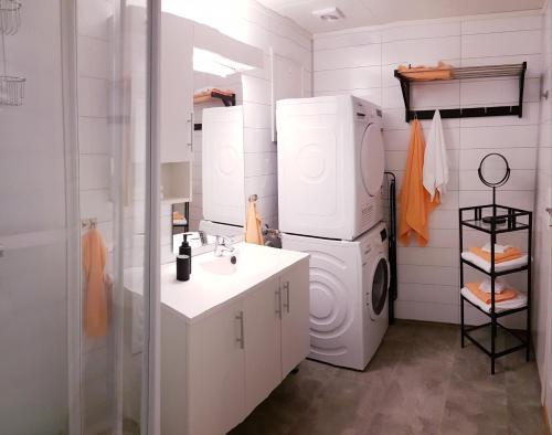 a bathroom with a washer and dryer and a sink at Tore Hunds Apartments in Andenes