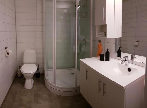 Afbeelding uit fotogalerij van Tore Hunds Apartments in Andenes