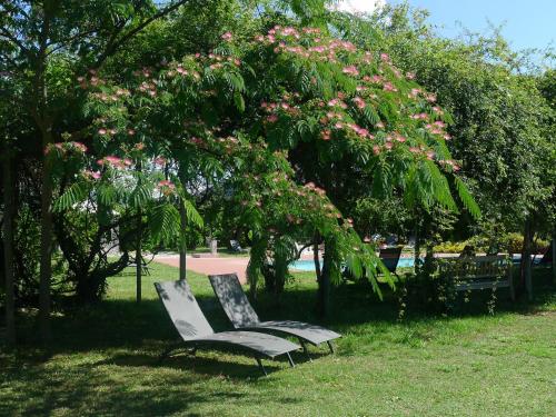 Taman di luar Les Piégonnaises - Deux luxueuses roulottes et la cabane en Drôme Provençale