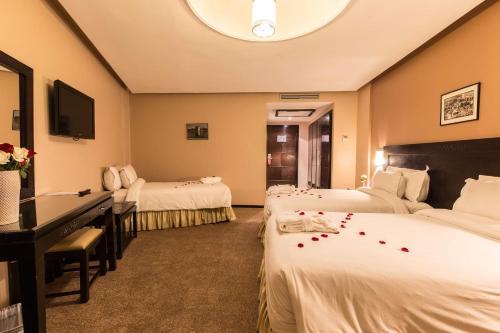 Postel nebo postele na pokoji v ubytování Hotel Almas