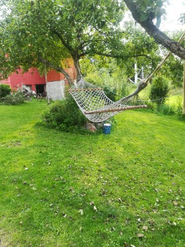 a hammock hanging from a tree in a yard at Apartmani Beslic in Kremna