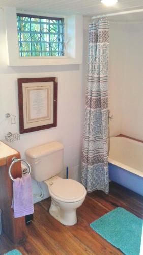 a bathroom with a toilet and a bath tub at Casa KoKopelli in Ballenita