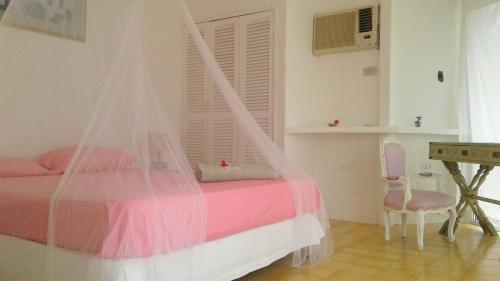 a bedroom with a bed with a mosquito net at Casa KoKopelli in Ballenita