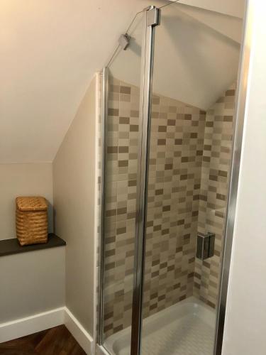 une douche avec une porte vitrée dans une salle de bain dans l'établissement le bristol appartement Canal & Chénier CanalduMidi, à Carcassonne