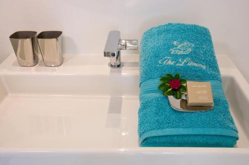 a blue towel sitting in a bathroom sink at The Liming Bequia in Friendship
