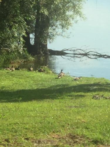 Imagem da galeria de Casa Laura em Dormelletto