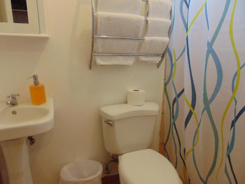 a bathroom with a toilet and a sink at Casa Lima B&B in San José
