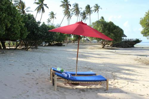 Coconut Tree Village Beach Resort – Photos 2