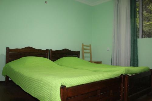 Postel nebo postele na pokoji v ubytování Borjomi Makvala's Guest House