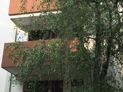 a building with a bunch of trees in front of it at Bed and Breakfast Bio Salix in Padova