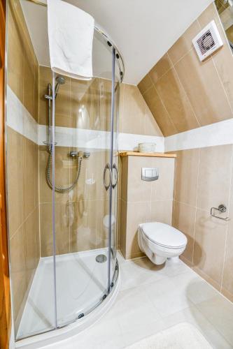 ein Bad mit einer Dusche und einem WC in der Unterkunft Pokoje Gościnne Makuszyńskiego in Zakopane