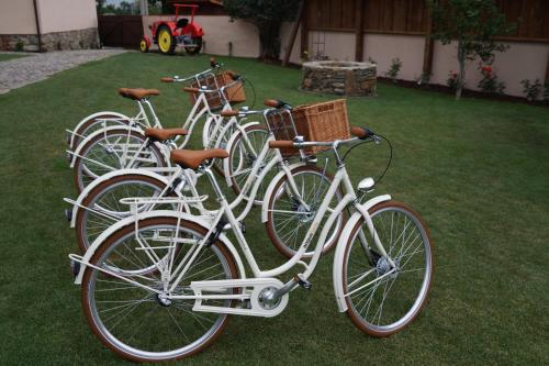 a row of white bikes parked on the grass at Pension Angusfarm in Soběsuky
