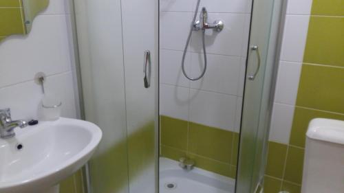 a bathroom with a shower and a sink at Karpatska Mria in Yaremche