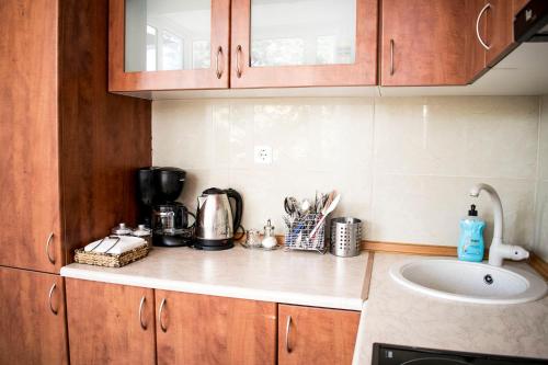 a kitchen with a counter top with a sink and a counter top at LULA 'S HOUSE in Iraklitsa