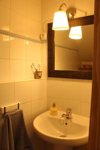 a bathroom with a sink and a mirror at Lo Blavet d'Alcanar in Alcanar