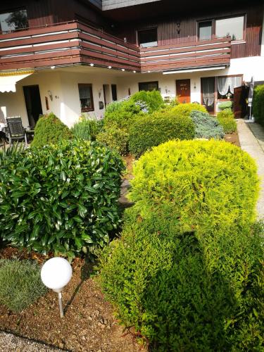 a garden with green bushes in front of a building at Feriendomizil-Sauerland FeWo 2 in Medebach