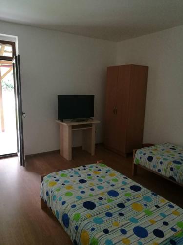 a room with two beds and a television in it at Apartmani Gmitrovic in Rtanj