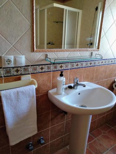 a bathroom with a sink and a mirror at Alojamiento Rural El Orégano in Campillos