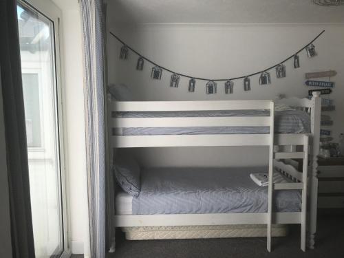 a bunk bed with a ladder in a room at Timrick Lodge in Weymouth