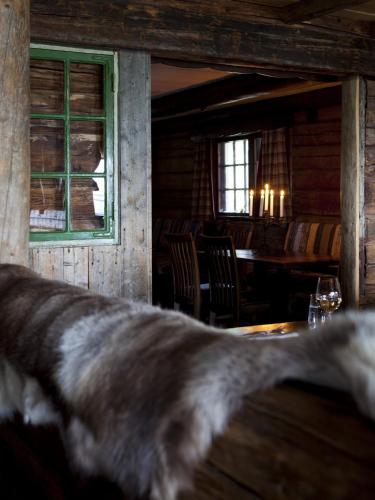 a dog standing in front of a table in a restaurant at Buustamons Fjällgård in Åre