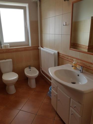 bagno con lavandino, servizi igienici e finestra di Apartamenty Nadmorskie a Władysławowo