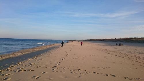 a group of people walking on the beach at Domek pod Grabami in Gdańsk