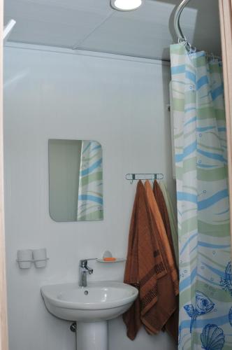 a bathroom with a sink and a mirror at Veranda in Karolino-Buhaz