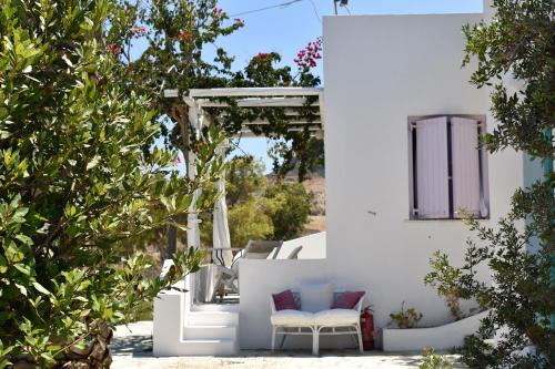 Kostantakis Winery Estate photo 2