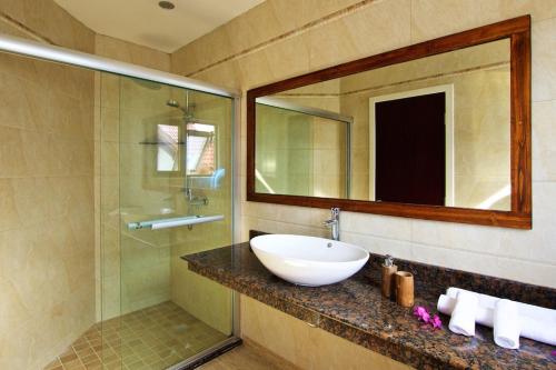 a bathroom with a sink and a mirror and a shower at Villa Sole in Anse Volbert Village