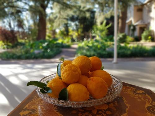 Miska pomarańczy siedząca na stole w obiekcie A Country Garden Guest House w mieście Potchefstroom