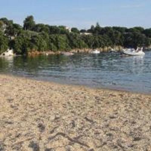 a beach with a body of water with a boat at Villa Albanis in Kolios