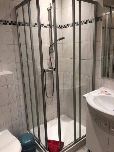 a shower with a glass door in a bathroom at Pension & Gasthof Storchennest in Groß Quassow