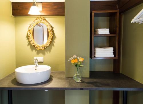 a bathroom with a sink and a mirror at B&B "de Wingerd" in Bruchterveld