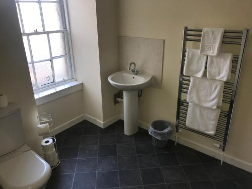 a bathroom with a sink and a toilet at Smithyends Apartments in Cumbernauld