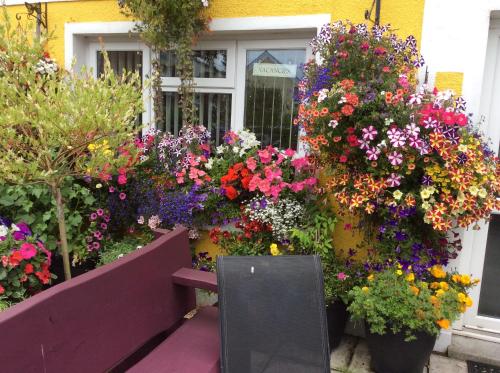 a bunch of flowers on the side of a building at Globe Guesthouse in Burry Port