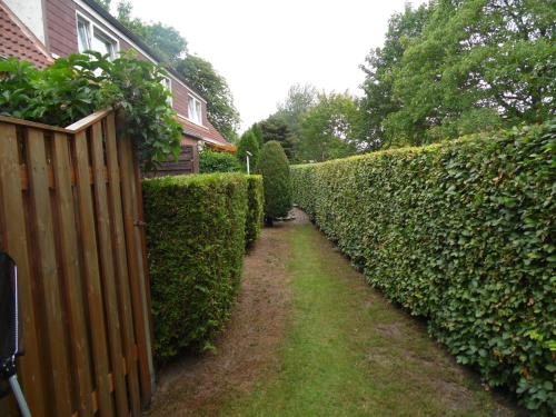 Jardín al aire libre en Gästehaus Nis Puk und Ferienwohnungen