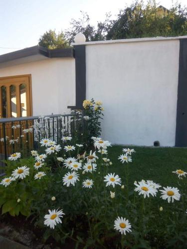 Zahrada ubytování Holiday Home Nana
